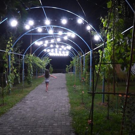 Villa "Zepuri" Dushet'i Bagian luar foto