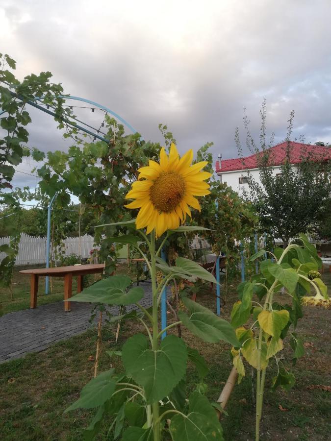 Villa "Zepuri" Dushet'i Bagian luar foto