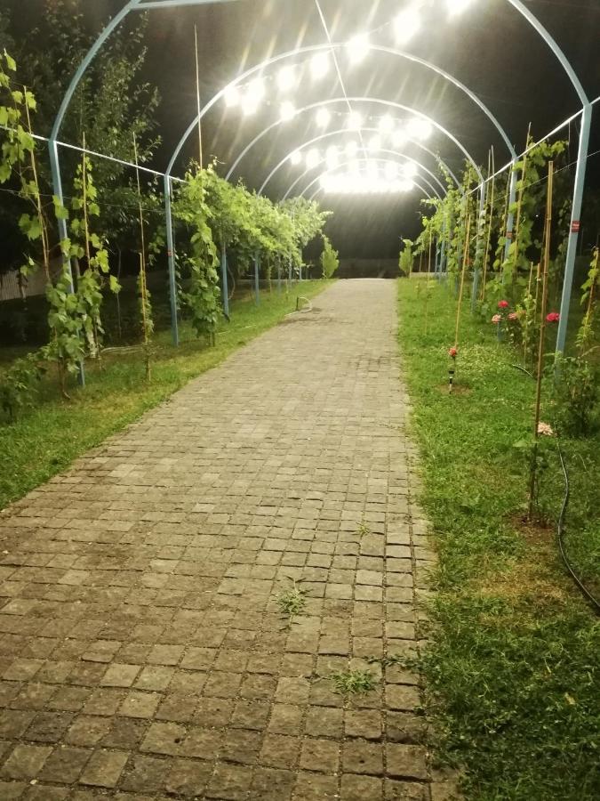 Villa "Zepuri" Dushet'i Bagian luar foto
