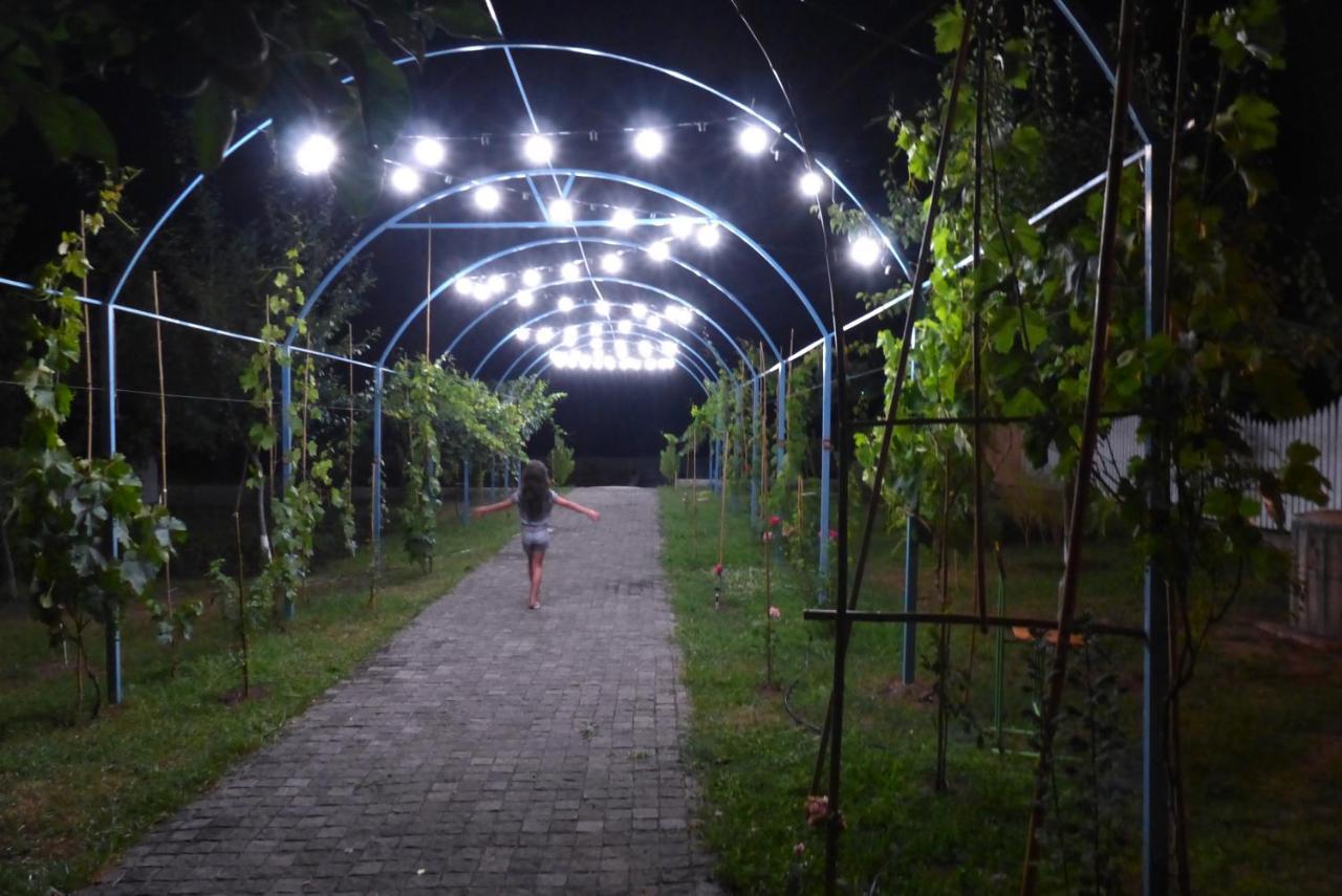 Villa "Zepuri" Dushet'i Bagian luar foto
