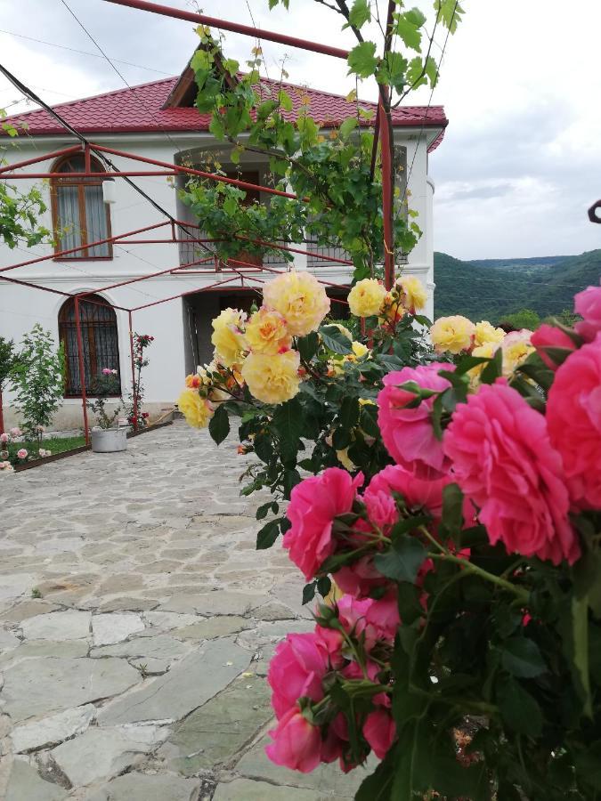 Villa "Zepuri" Dushet'i Bagian luar foto