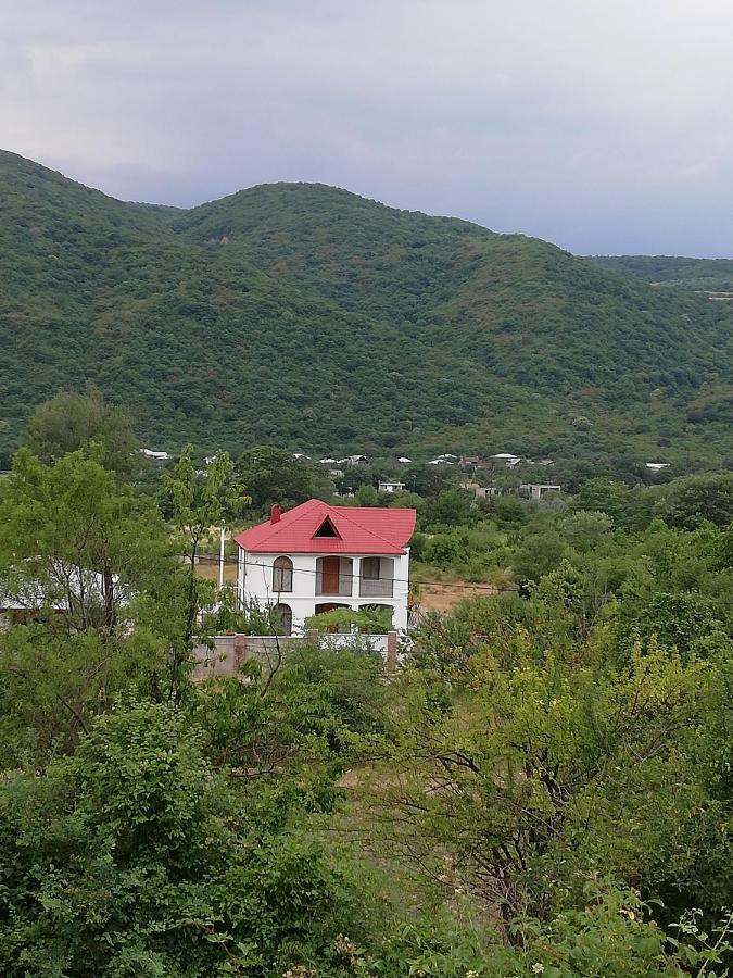 Villa "Zepuri" Dushet'i Bagian luar foto